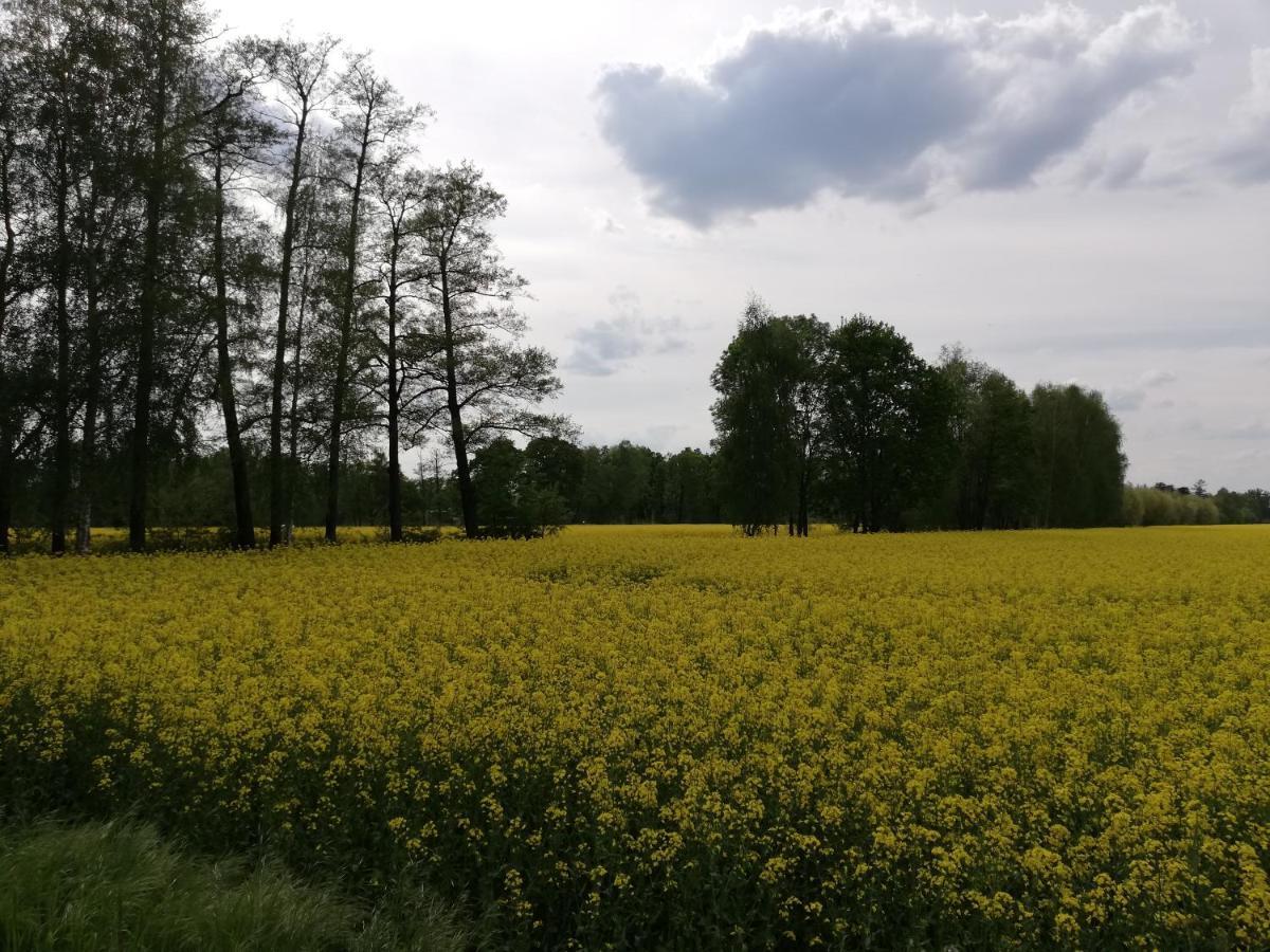 Am Waldrand Spreewald Hotel บวร์ก ภายนอก รูปภาพ