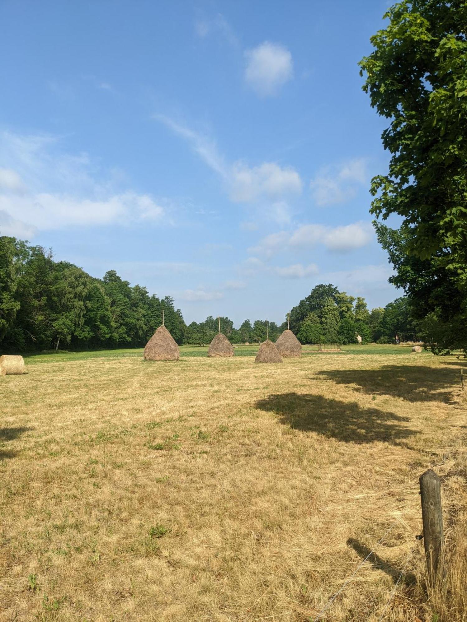 Am Waldrand Spreewald Hotel บวร์ก ภายนอก รูปภาพ